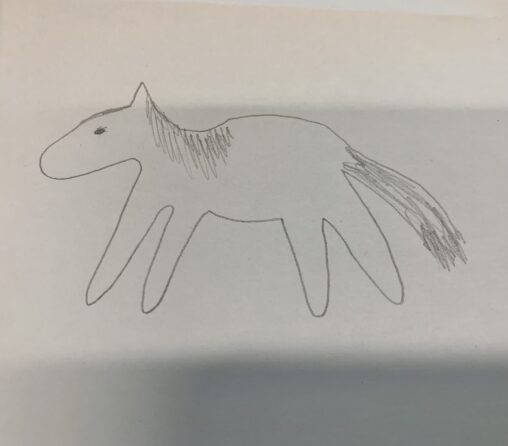 A line drawing of a horse